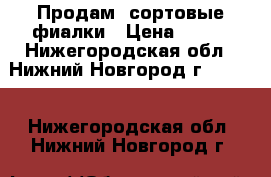 Продам  сортовые фиалки › Цена ­ 200 - Нижегородская обл., Нижний Новгород г.  »    . Нижегородская обл.,Нижний Новгород г.